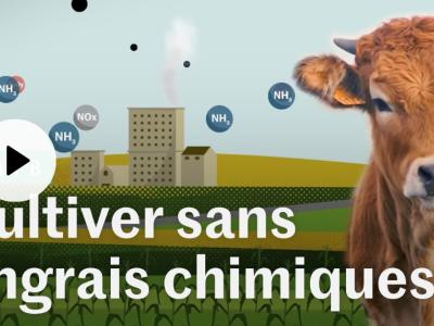 Vignette video du Monde sur les engrais chimiques